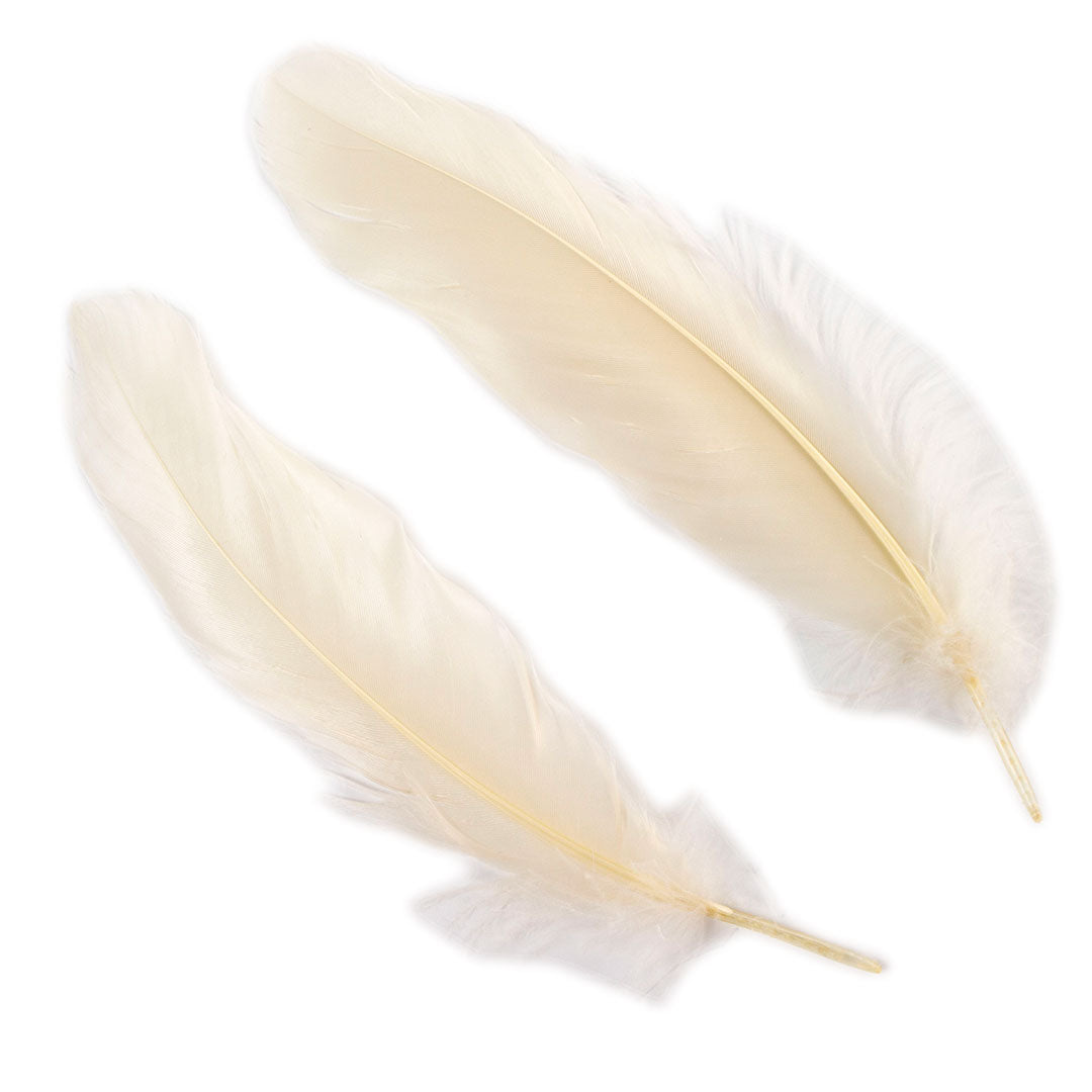 Goose Satinette Feathers Dyed - Ivory - 1/4 lb