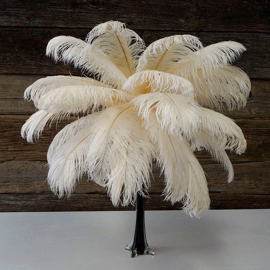 Large Ostrich Feathers - 17"+ Drabs - Ivory