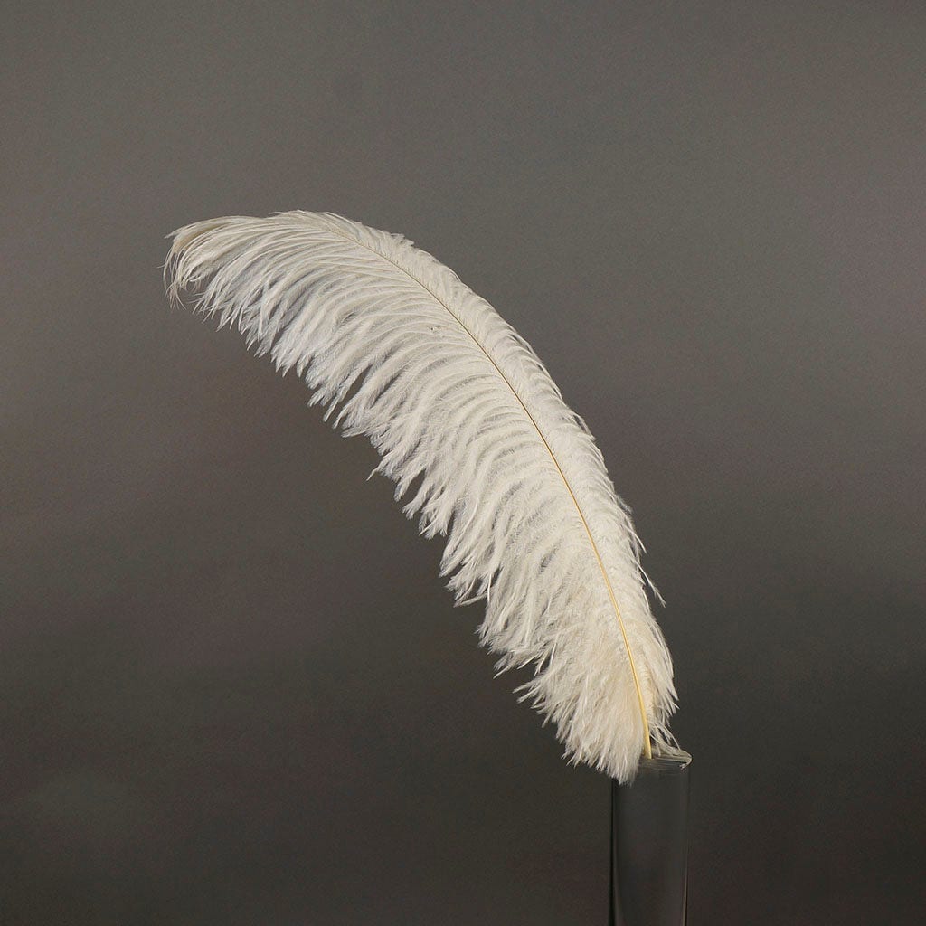 Large Ostrich Feathers - 17"+ Drabs - Ivory