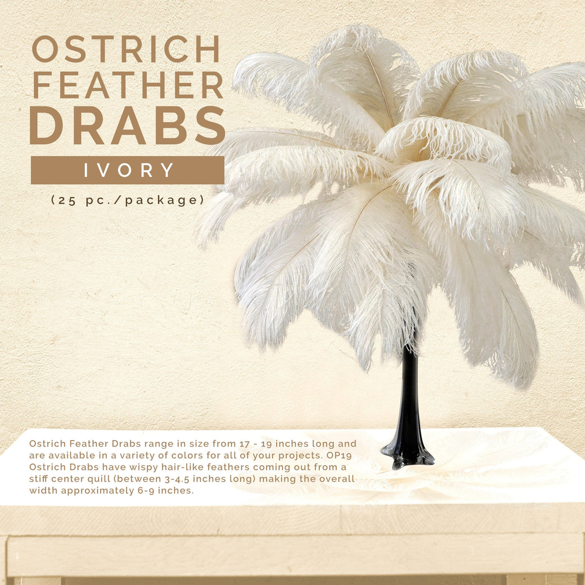 Large Ostrich Feathers - 17"+ Drabs - Ivory