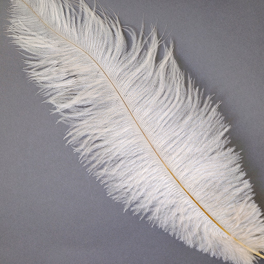 Ostrich Feathers 9-12" Drabs - Ivory