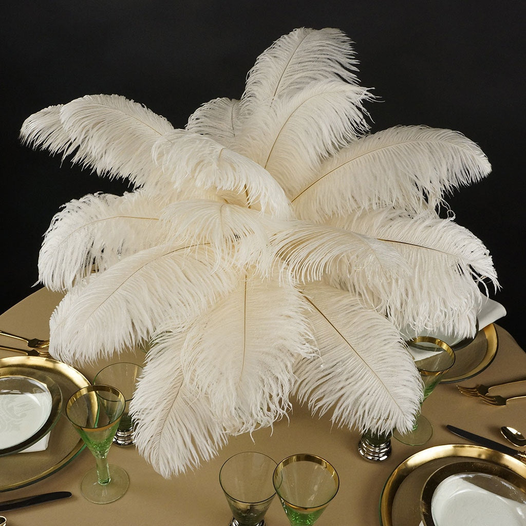 Ostrich Feathers 13-16" Drabs - Ivory