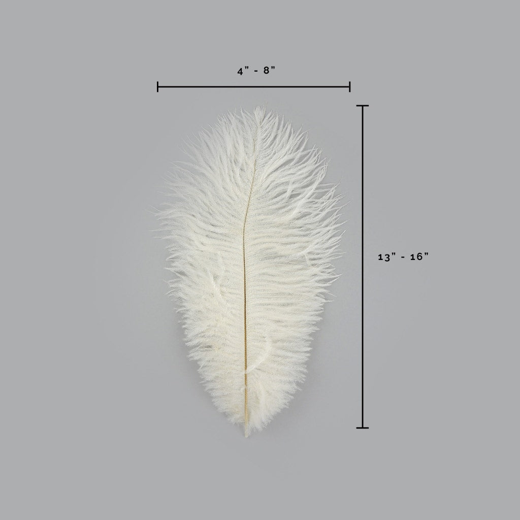Ostrich Feathers 13-16" Drabs - Ivory
