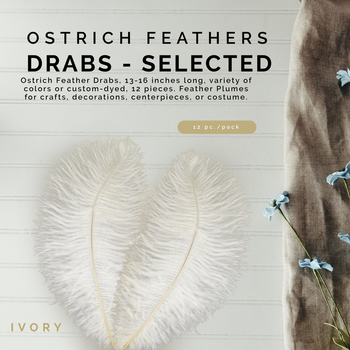 Ostrich Feathers 13-16" Drabs - Ivory