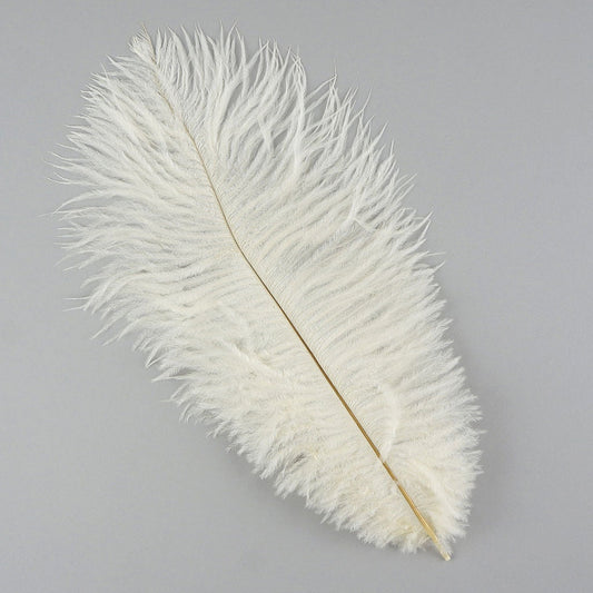 Ostrich Feathers 13-16" Drabs - Ivory
