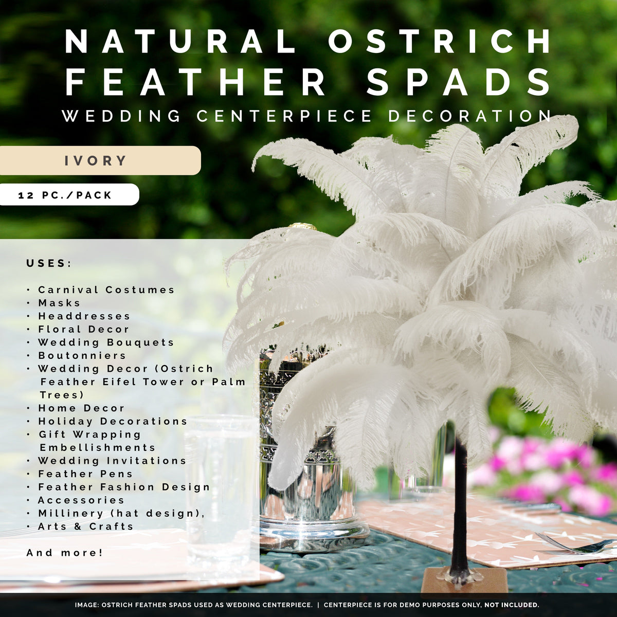 Large Ostrich Feathers - 18-24" Spads - Ivory