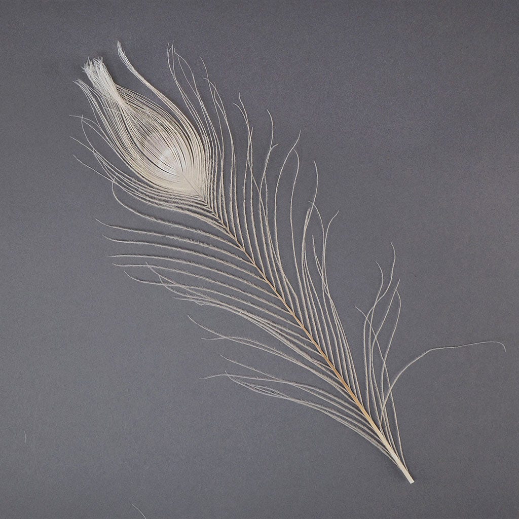 Peacock Feather Eyes Bleached & Dyed Ivory