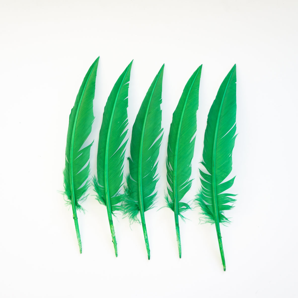 Kelly Green Dagger Turkey Quill Feathers 9-12"