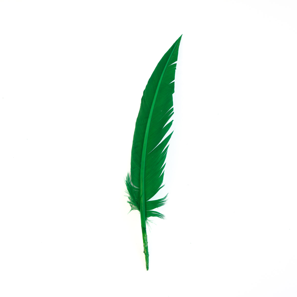 Kelly Green Dagger Turkey Quill Feathers 9-12"