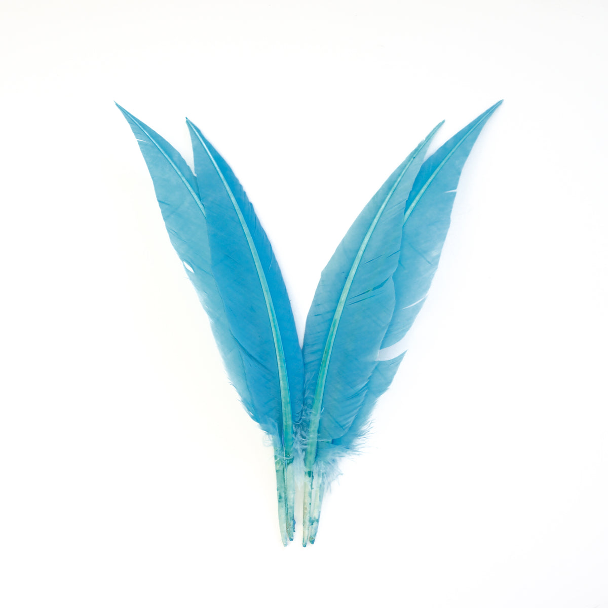 Light Turquoise Dagger Turkey Quill Feathers 9-12"