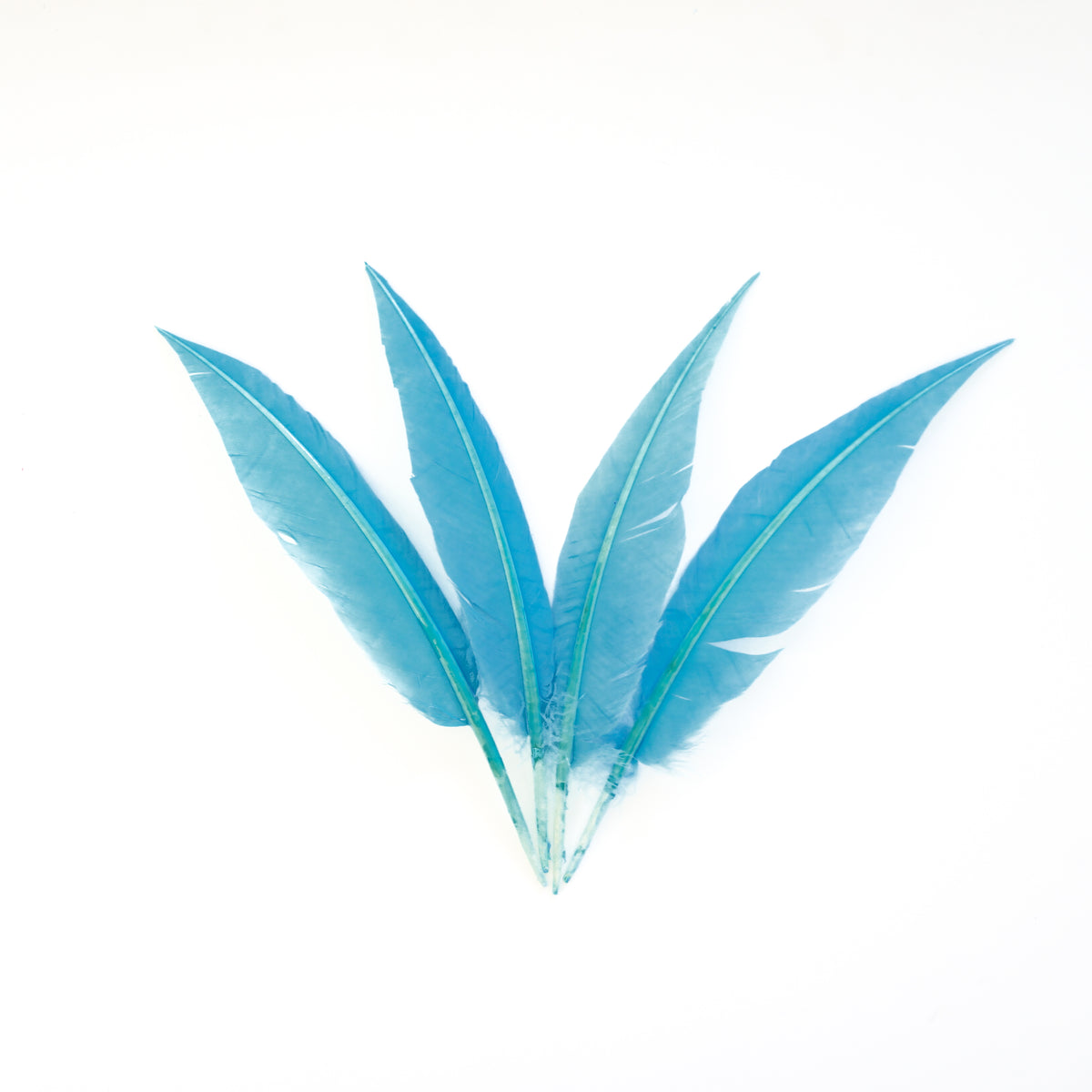 Light Turquoise Dagger Turkey Quill Feathers 9-12"