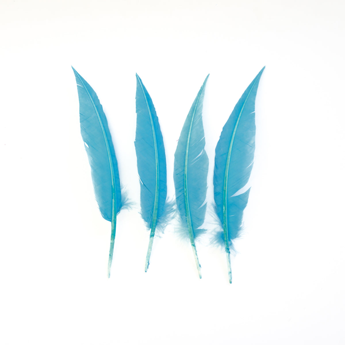 Light Turquoise Dagger Turkey Quill Feathers 9-12"