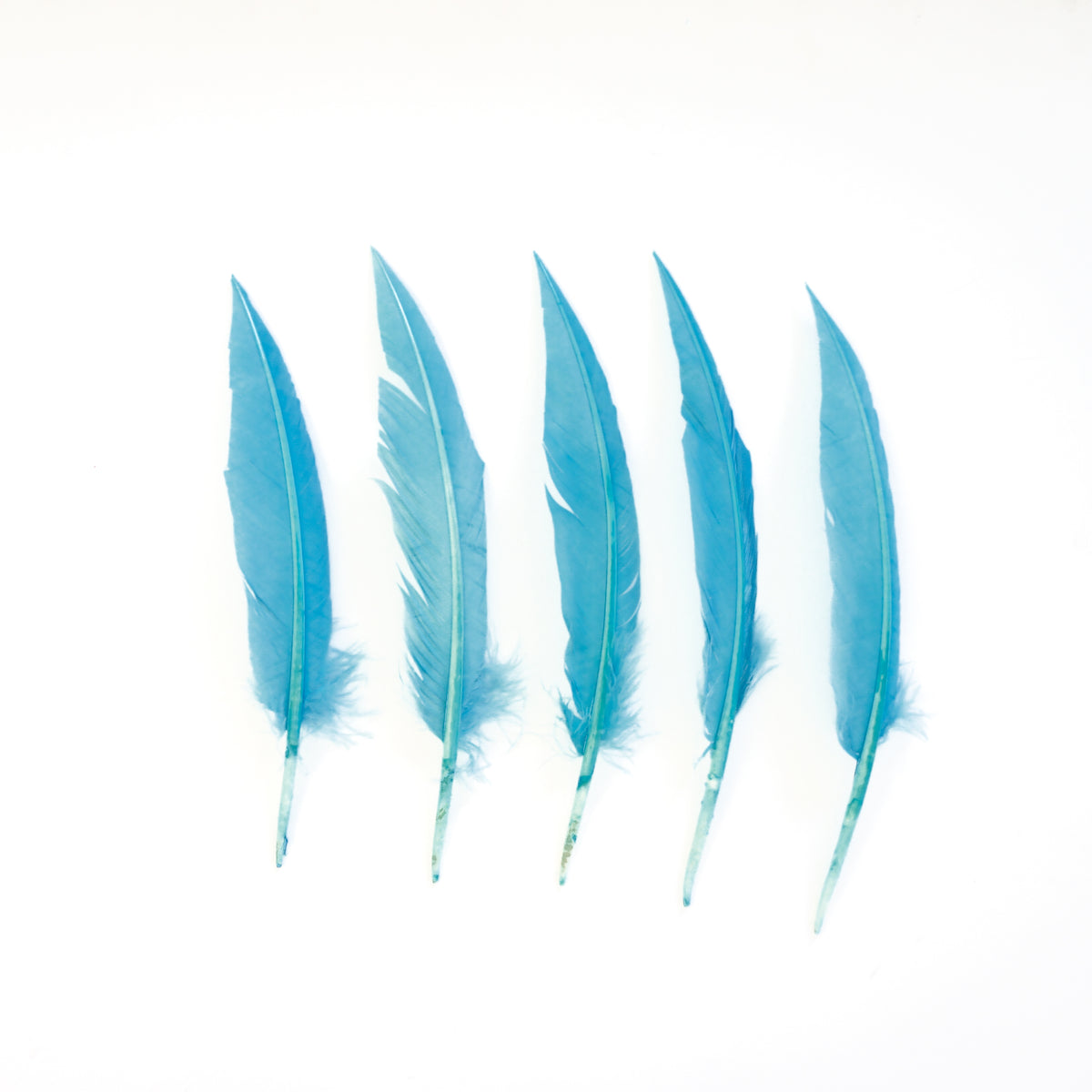 Light Turquoise Dagger Turkey Quill Feathers 9-12"
