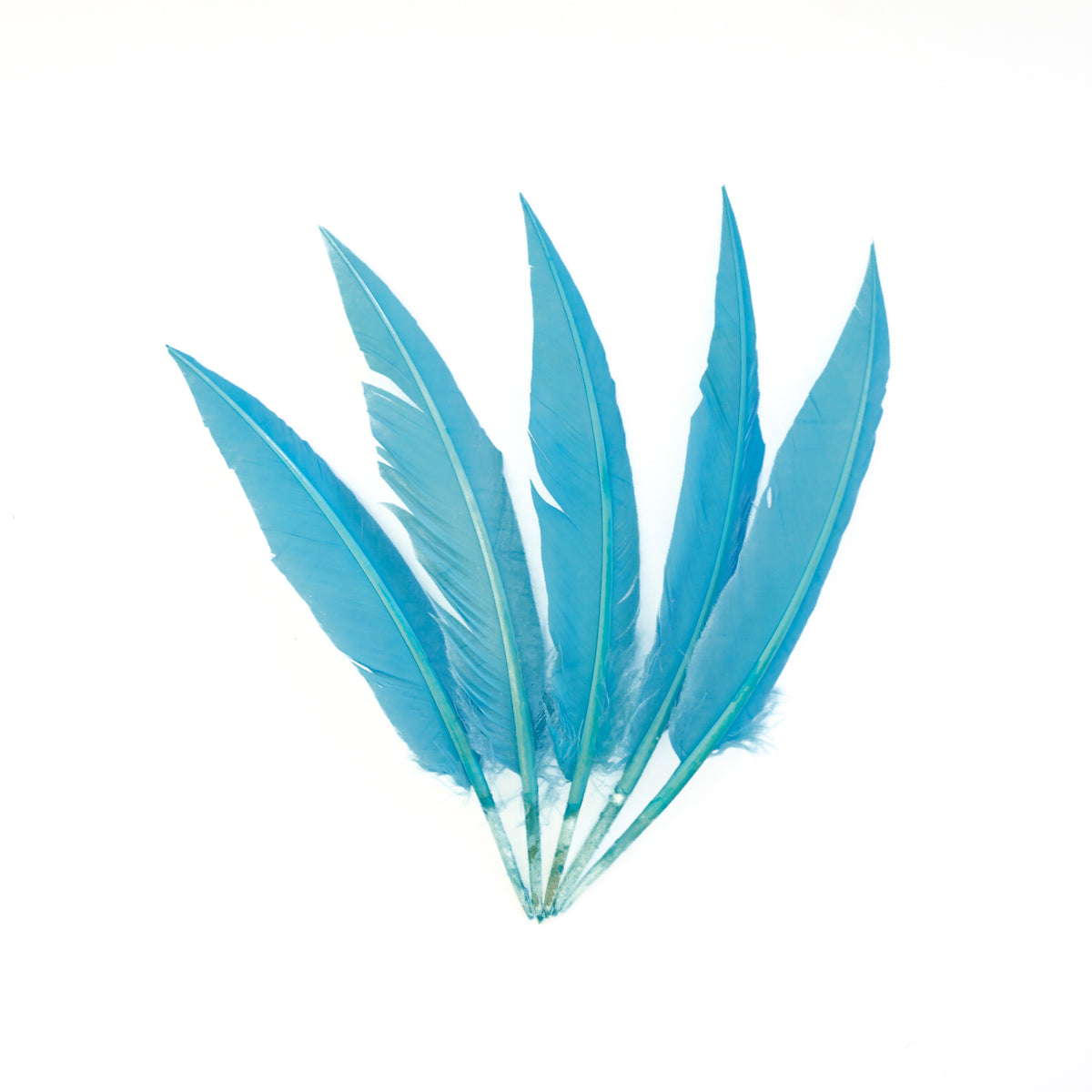 Light Turquoise Dagger Turkey Quill Feathers 9-12"