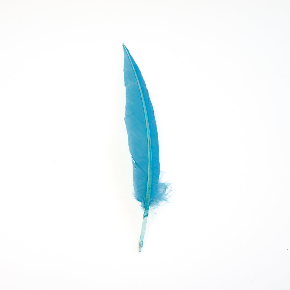 Light Turquoise Dagger Turkey Quill Feathers 9-12"