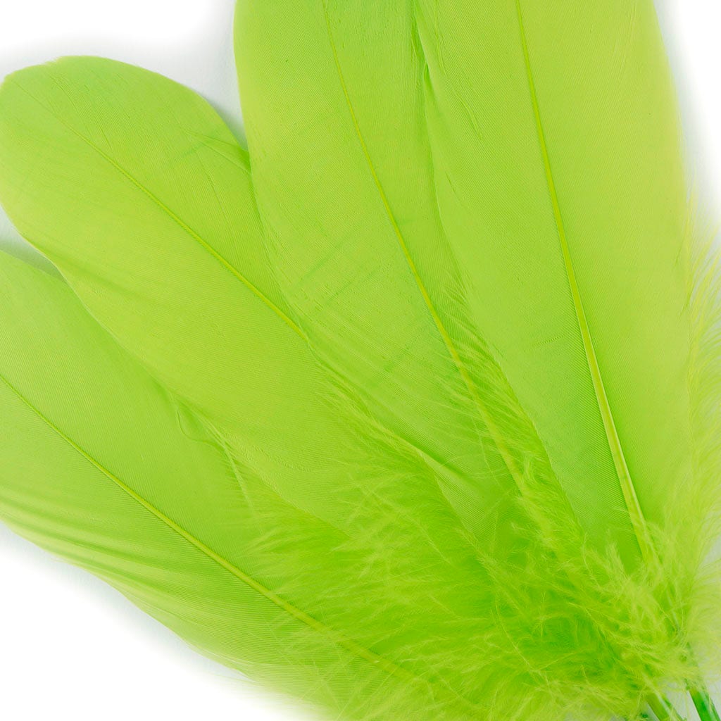 Bulk Bulk Goose Pallet Feathers 6-8 Inch - 1/4 LB - Lime