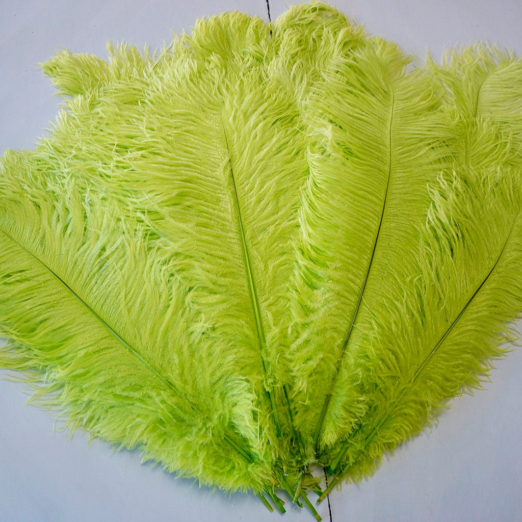 Large Ostrich Feathers - 17"+ Drabs - Lime