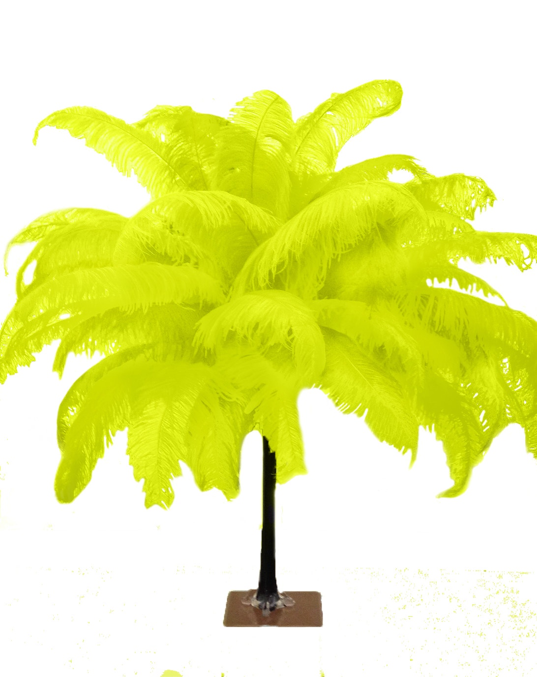 Large Ostrich Feathers - 18-24" Spads - Lime