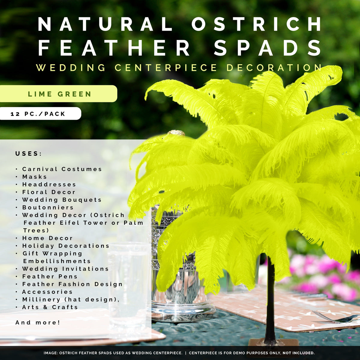 Large Ostrich Feathers - 18-24" Spads - Lime