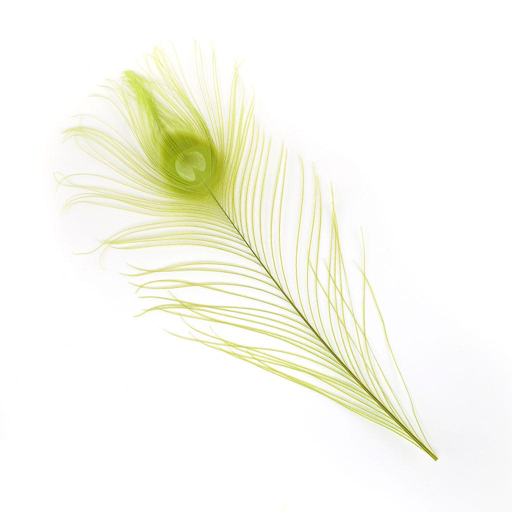Peacock Feather Eyes Bleached & Dyed Lime