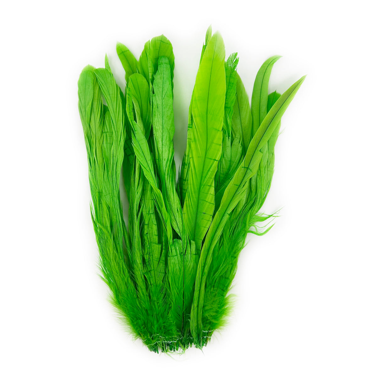 R COQ BLCH-NAT 7-10-inch- 25PC-PKG LME