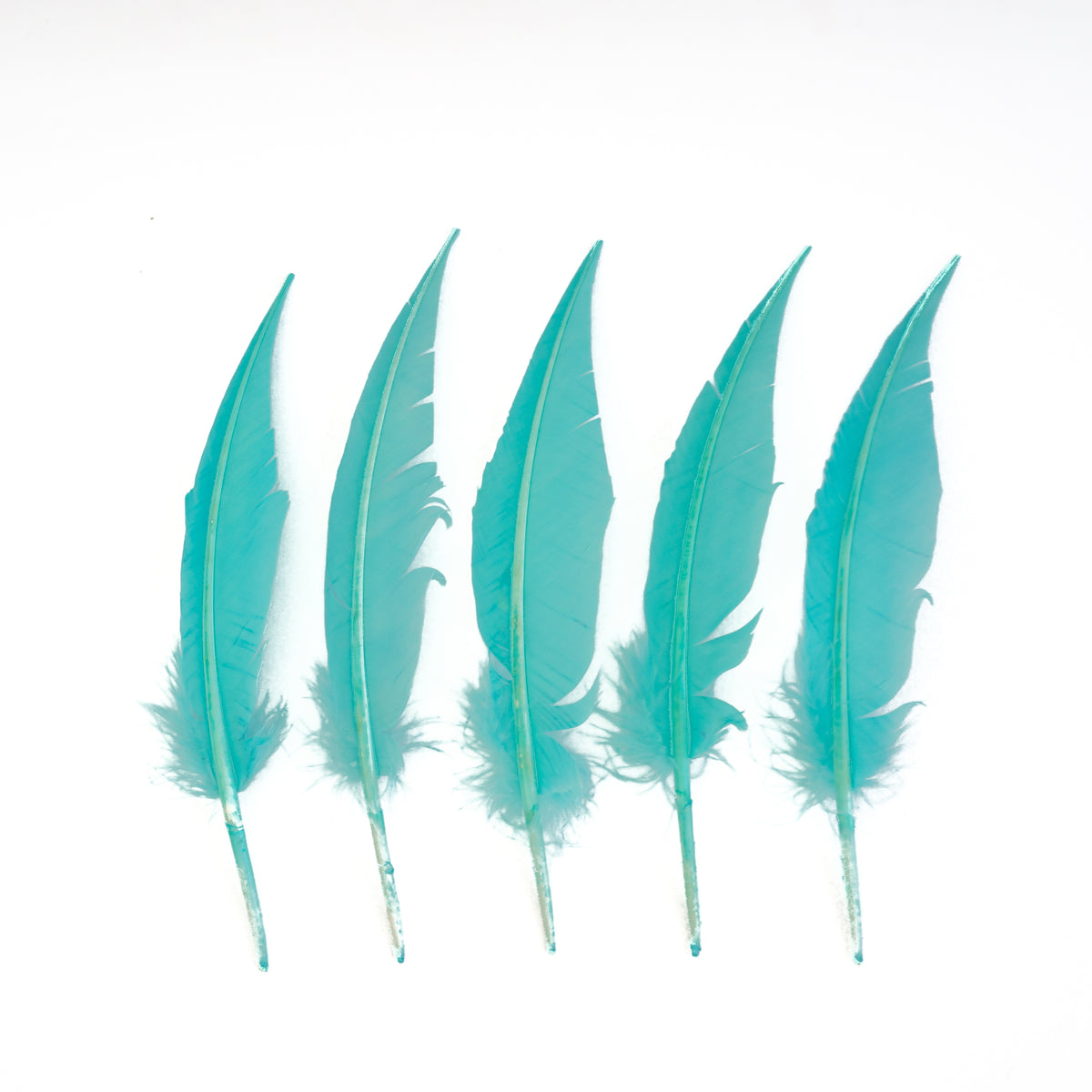 Mint Green Dagger Turkey Quill Feathers 9-12"