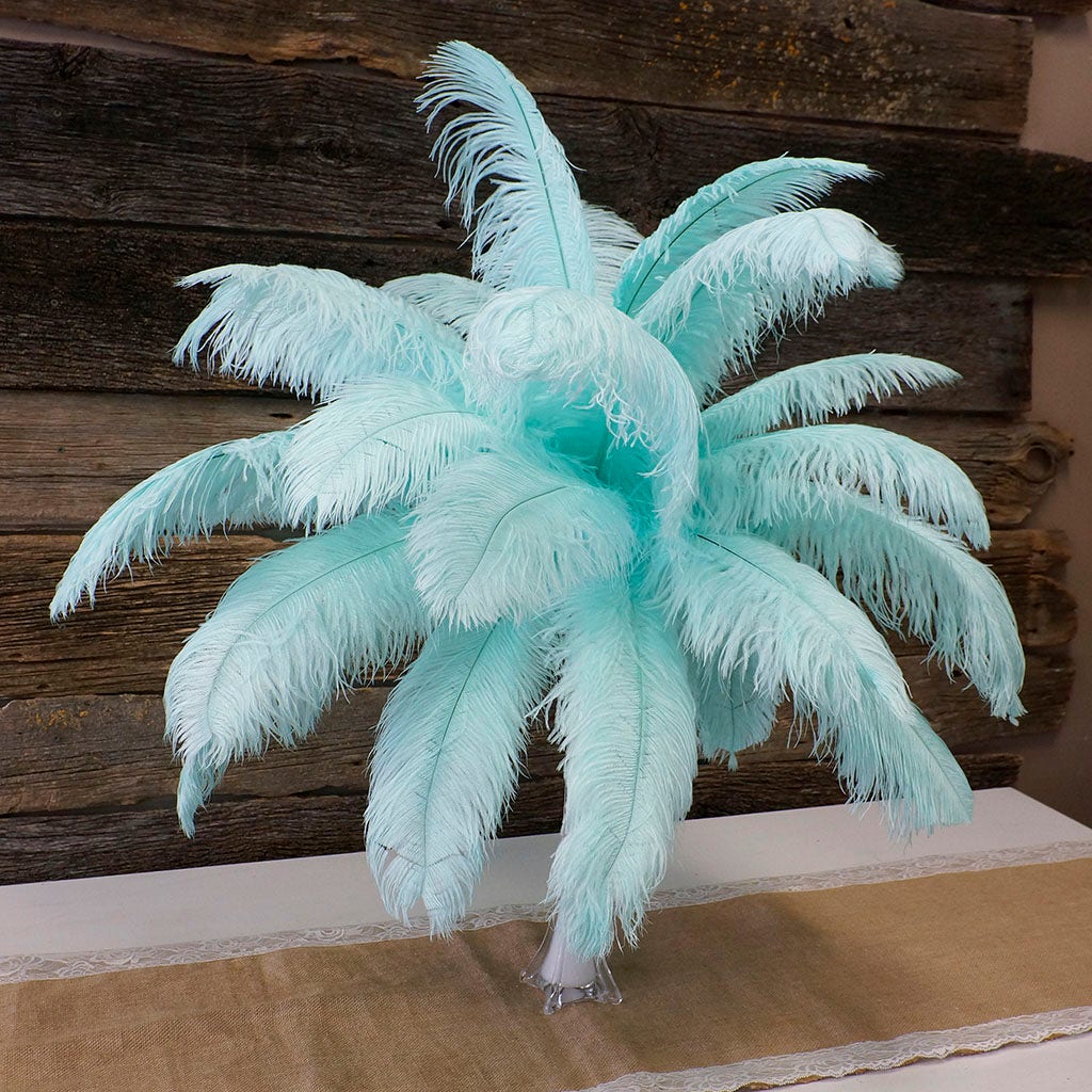 Large Ostrich Feathers - 17"+ Drabs - Mint
