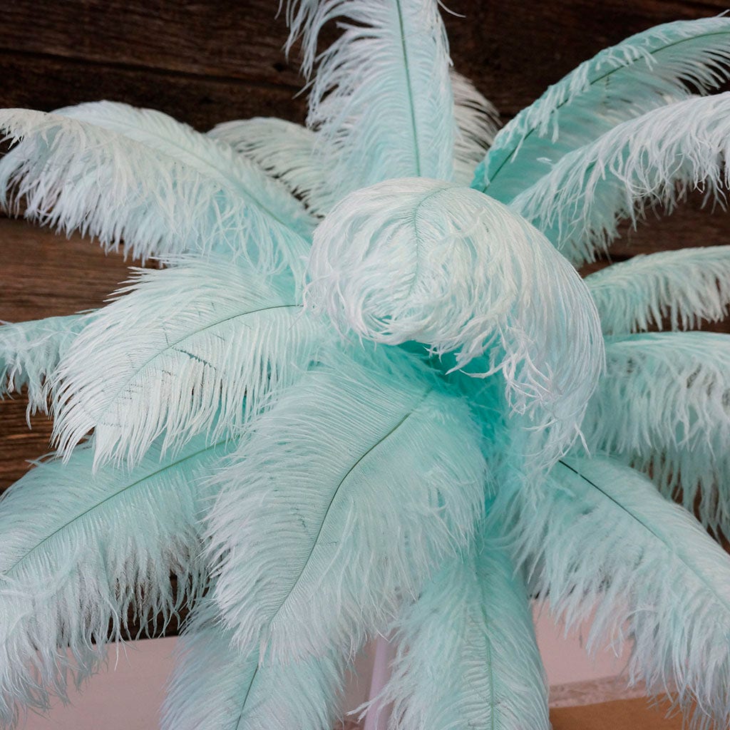 Large Ostrich Feathers - 17"+ Drabs - Mint