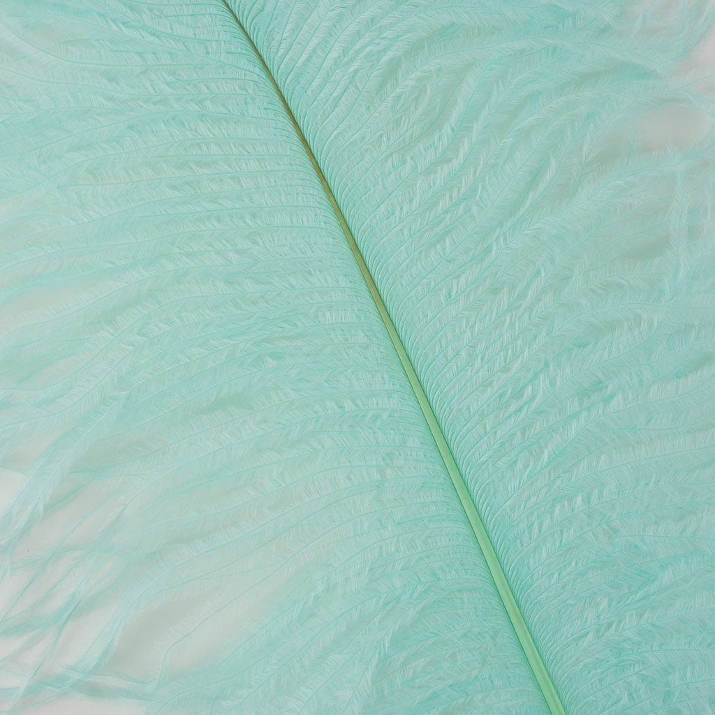 Large Ostrich Feathers - 17"+ Drabs - Mint