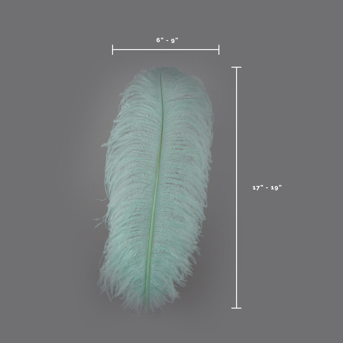 Large Ostrich Feathers - 17"+ Drabs - Mint