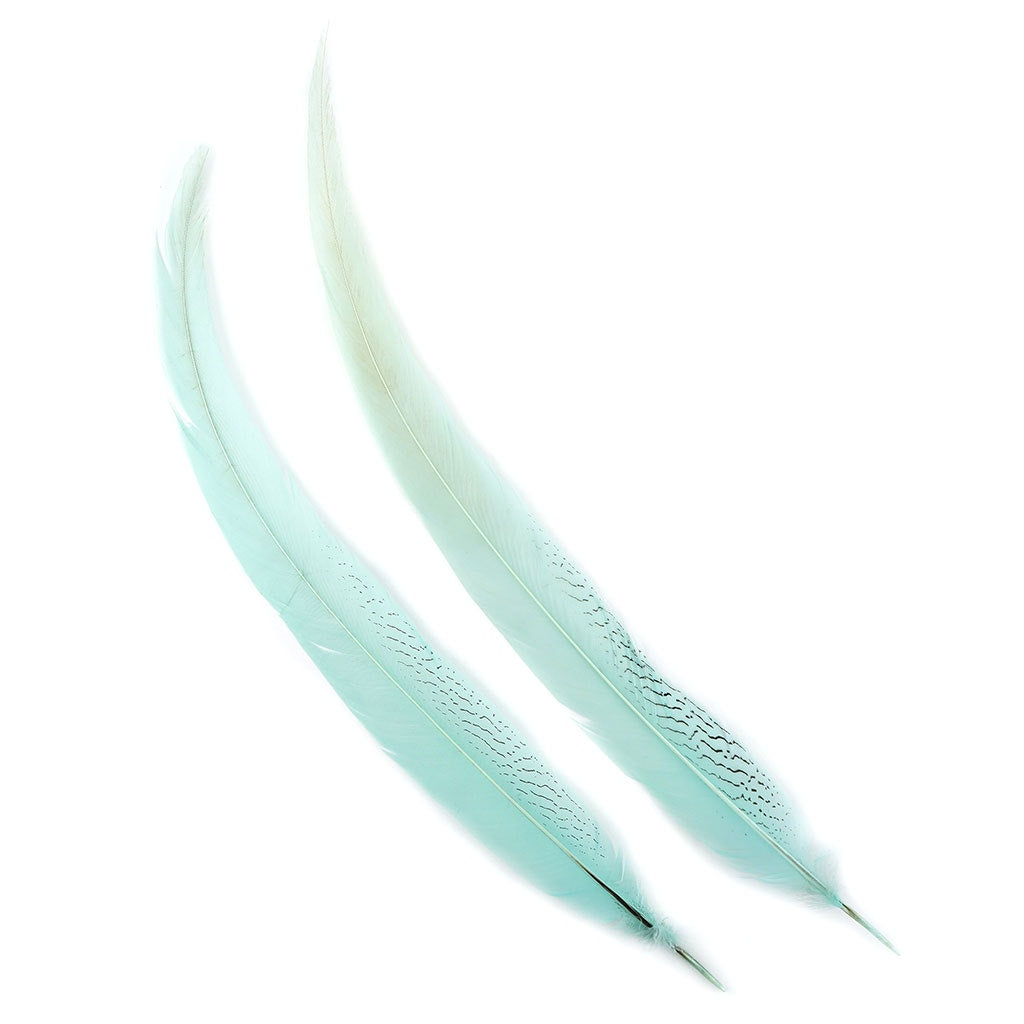Silver Pheasant Tail Feathers Dyed Mint