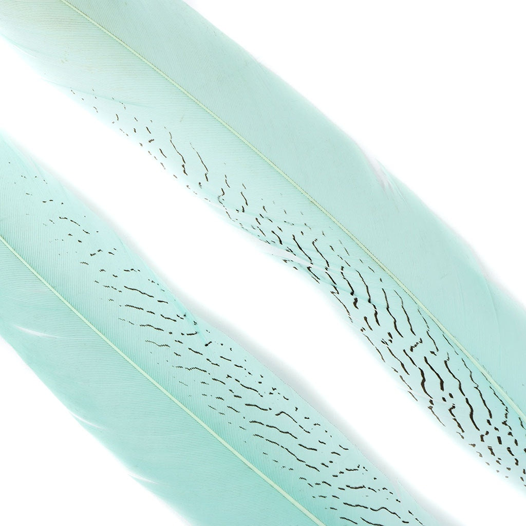 Silver Pheasant Tail Feathers Dyed Mint