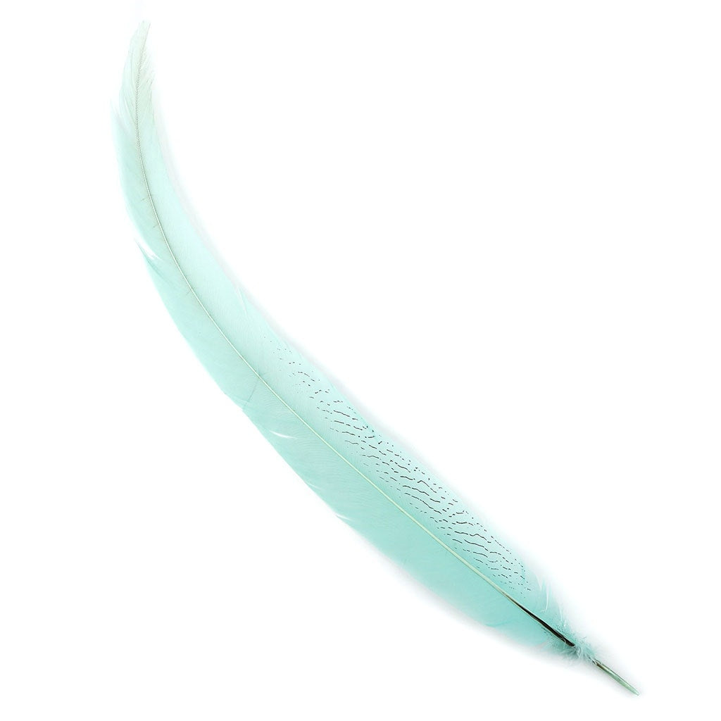 Silver Pheasant Tail Feathers Dyed Mint