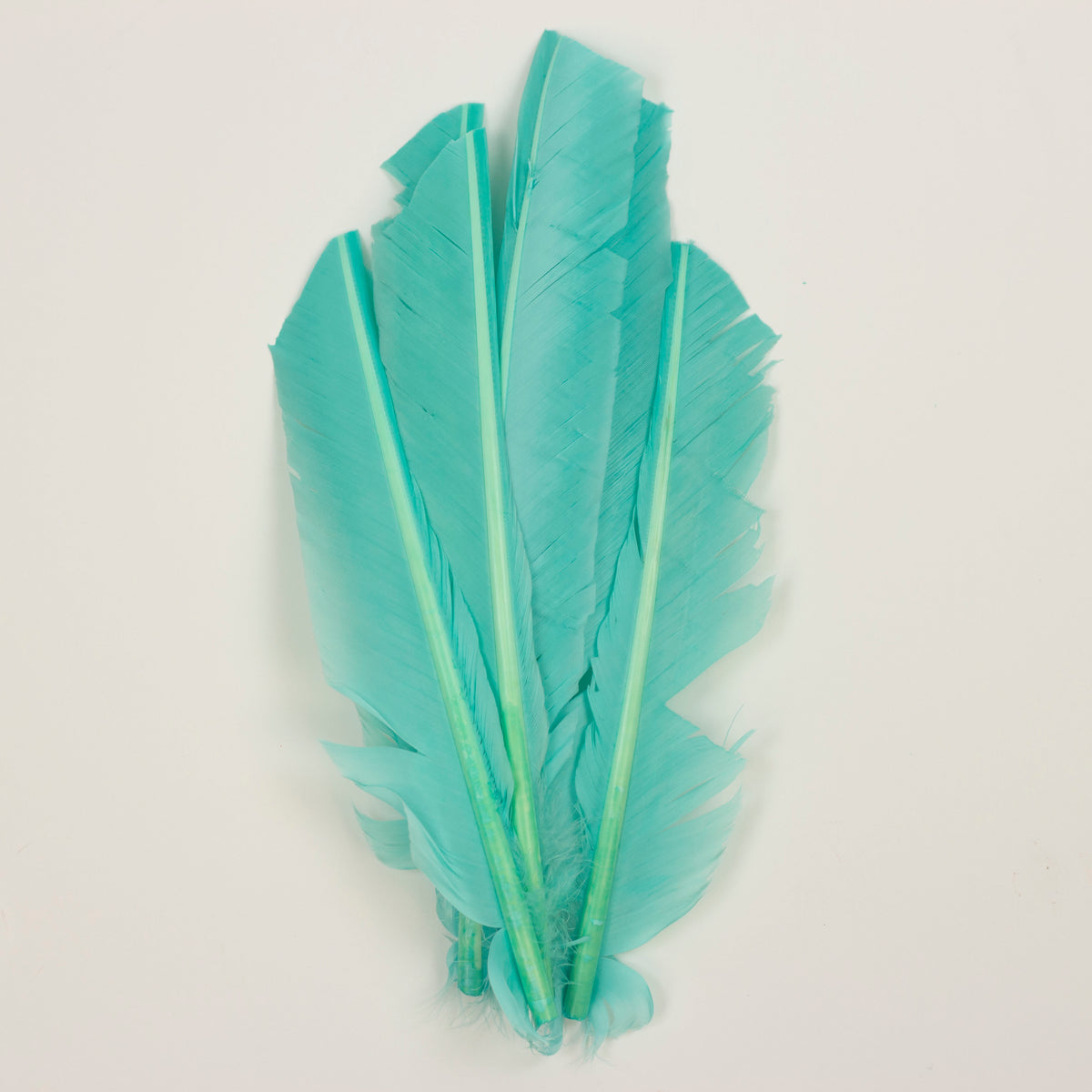 Mint Cut Turkey Pointer Feathers 8-12"