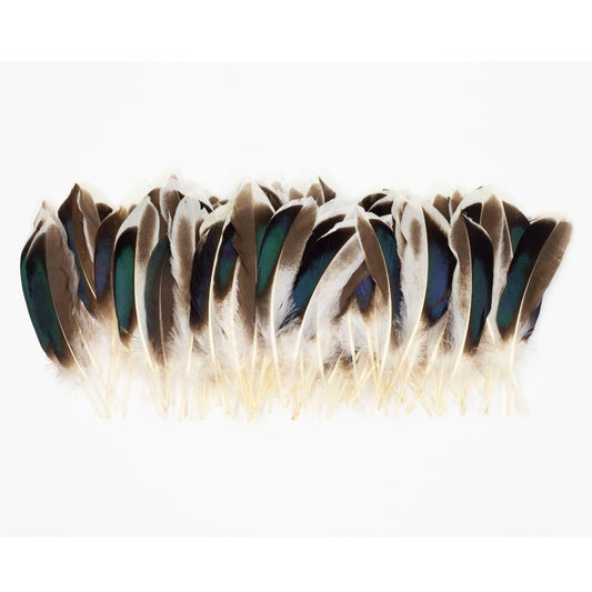 Natural Duck Feathers 3-5" - 100 pcs