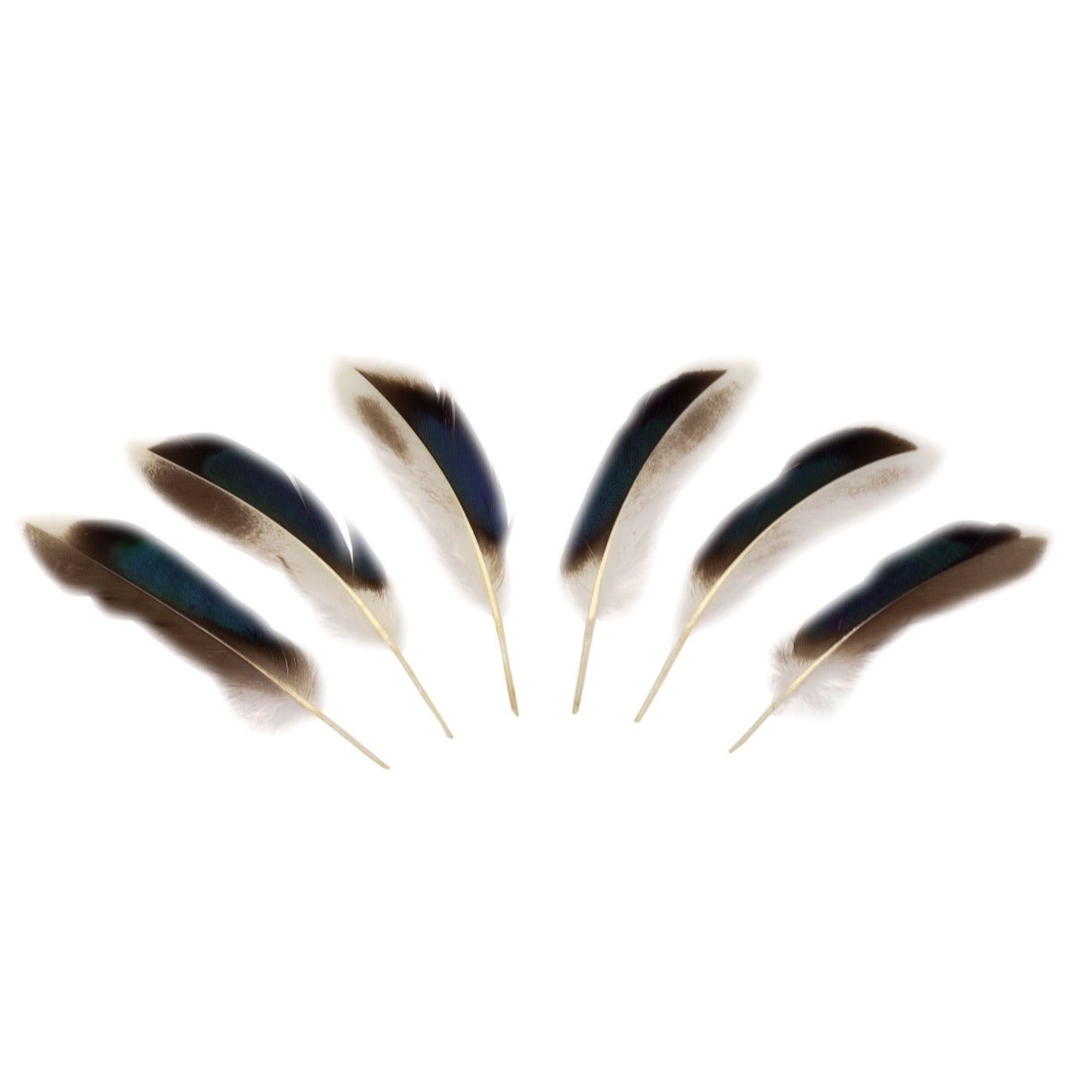 Natural Duck Feathers 3-5" - 10 pcs
