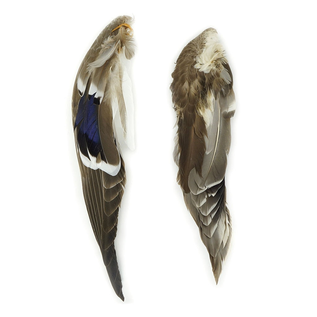 Bulk Duck Wings Natural Mallard-1