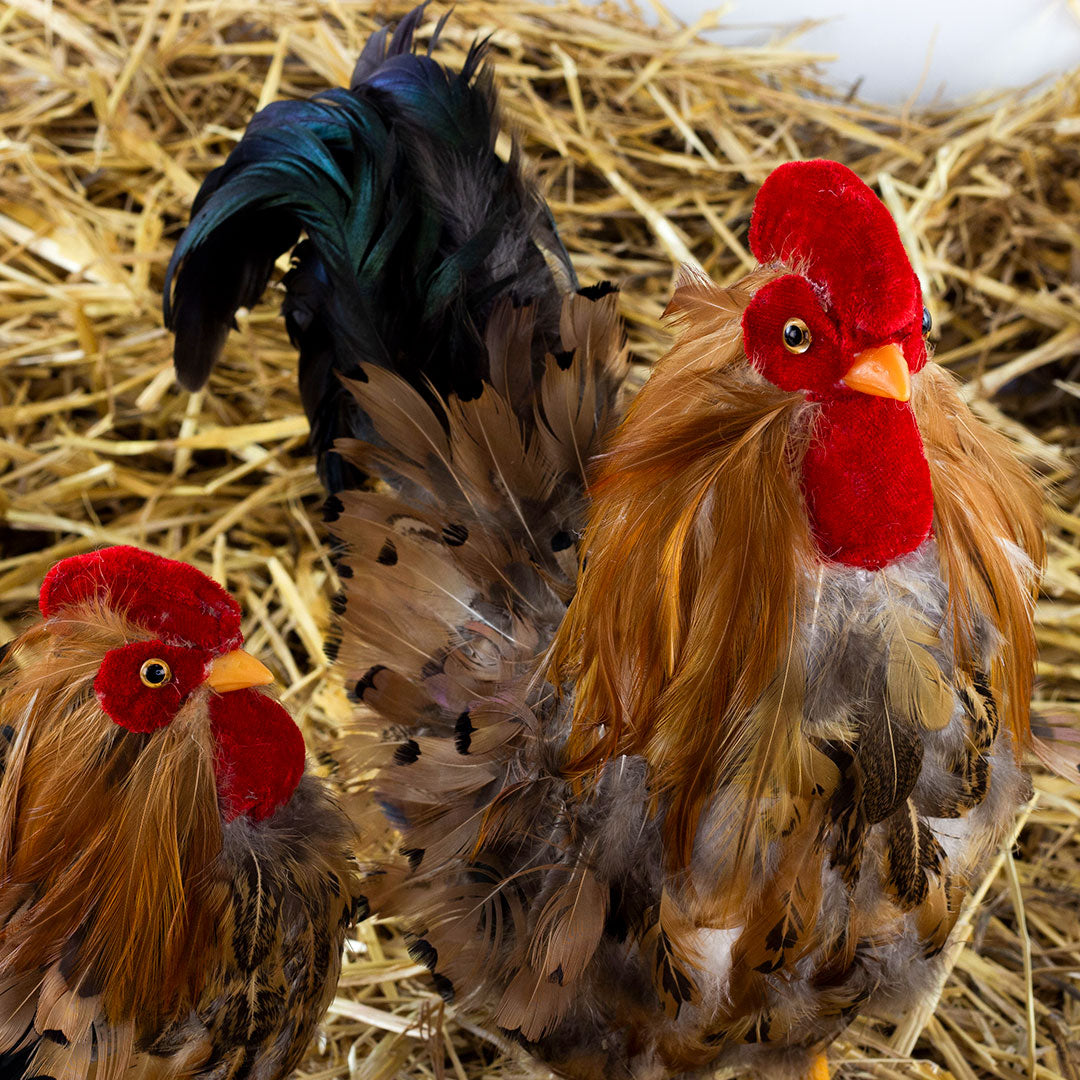 Rooster Farmhouse Decor