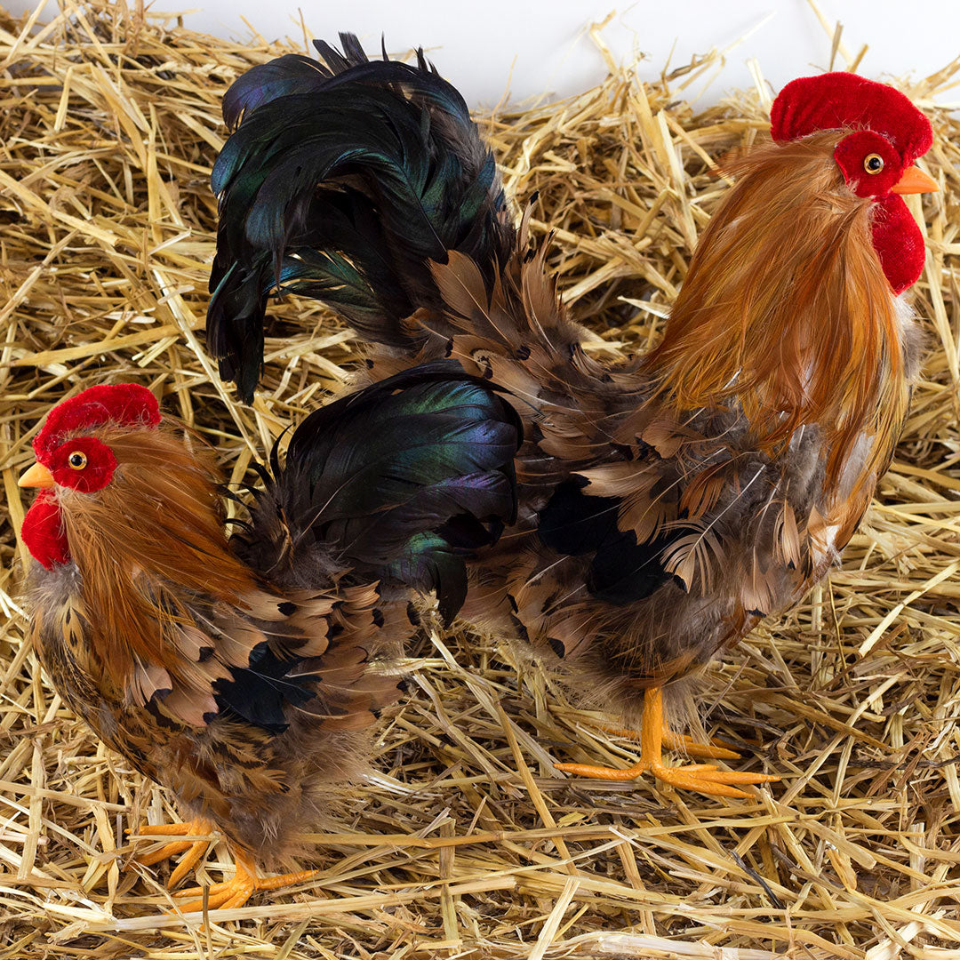 Rooster Farmhouse Decor