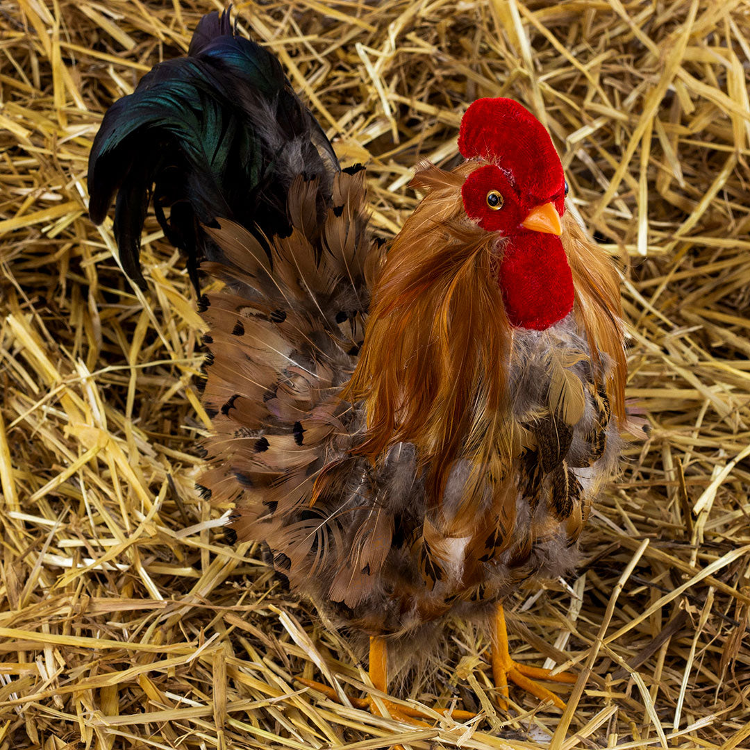 Rooster Farmhouse Decor