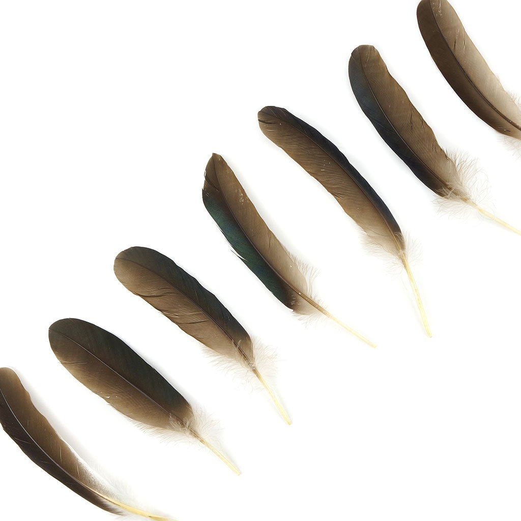 Goose Favion Feathers Natural