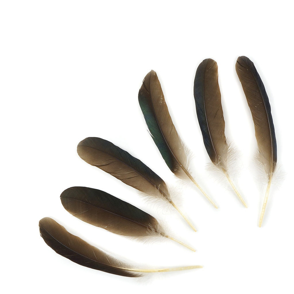 Goose Favion Feathers Natural