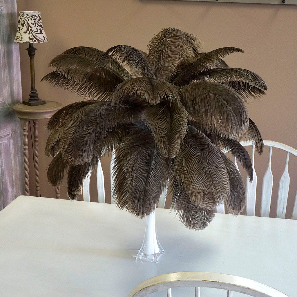 Large Ostrich Feathers - 17"+ Drabs - Natural