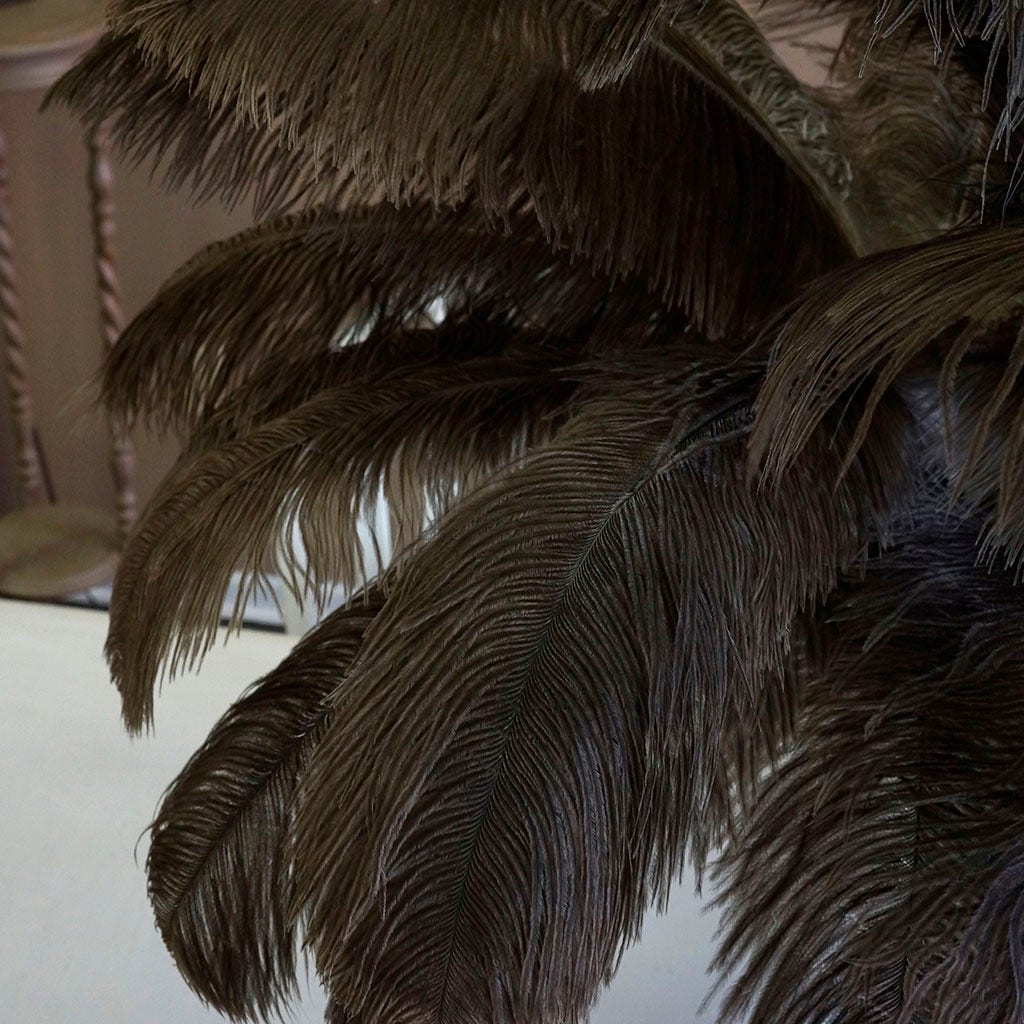 Large Ostrich Feathers - 17"+ Drabs - Natural