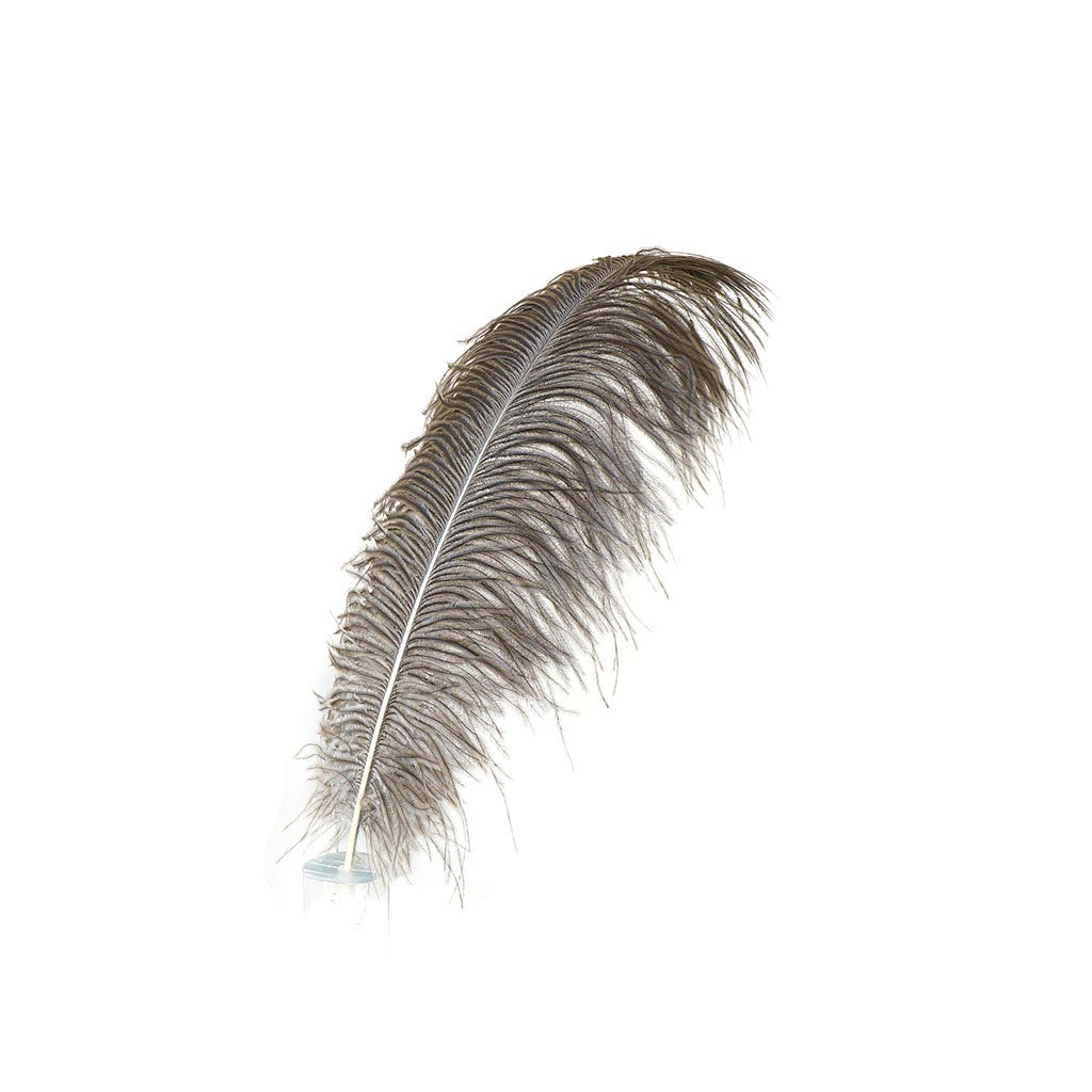 Large Ostrich Feathers - 17"+ Drabs - Natural