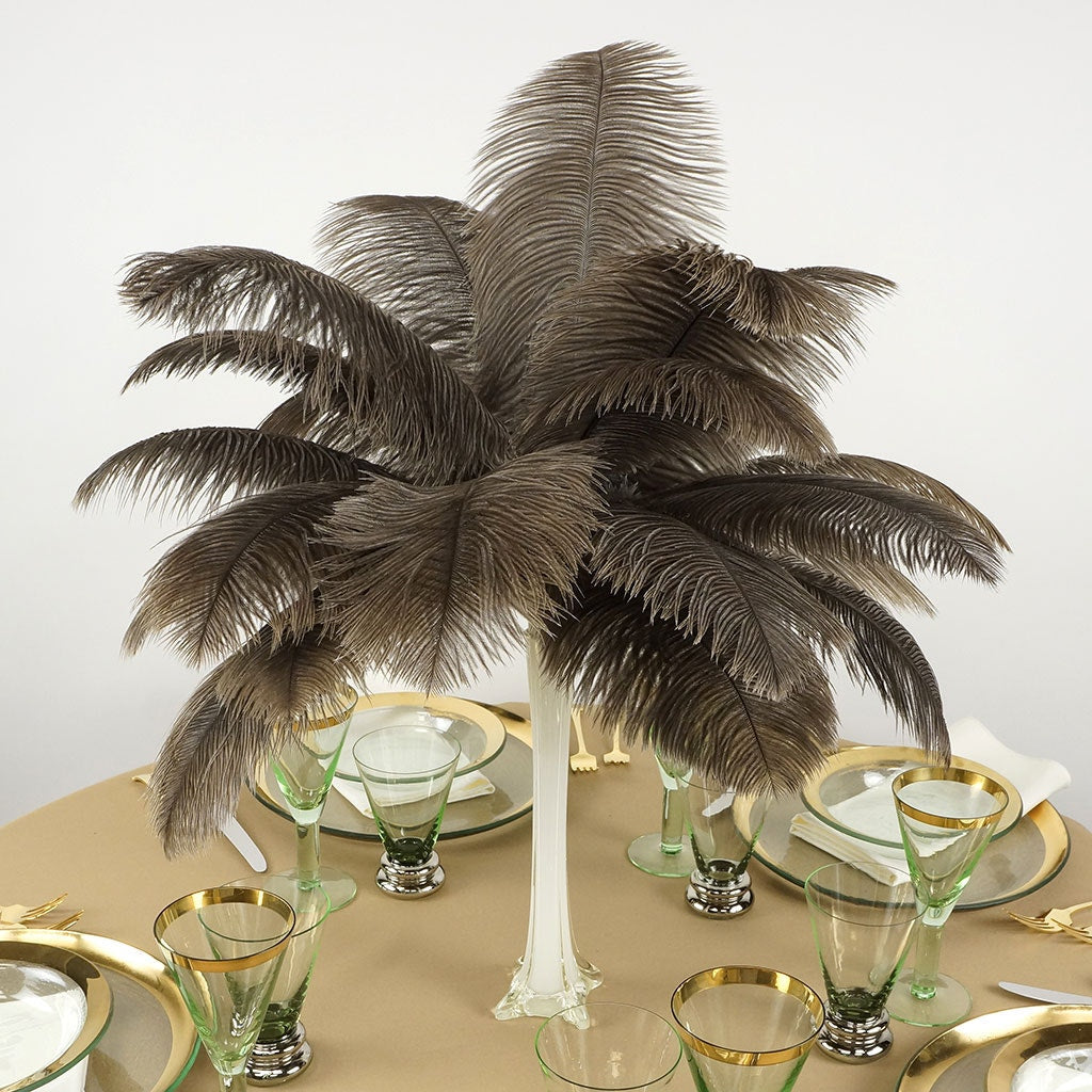Ostrich Feathers 13-16" Drabs - Natural