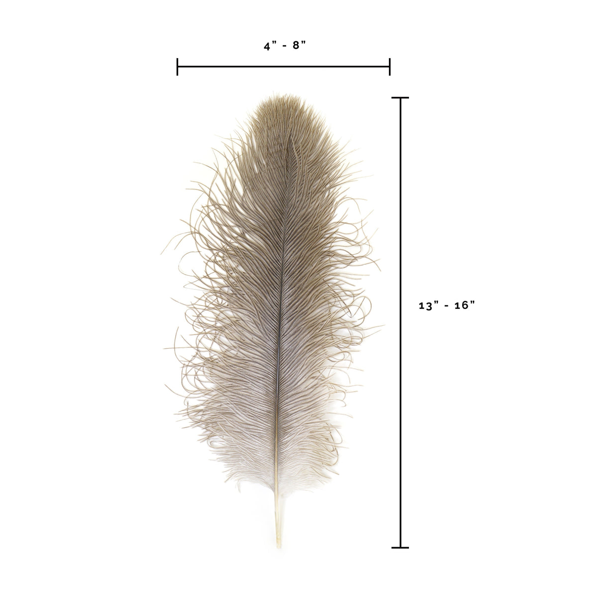Ostrich Feathers 13-16" Drabs - Natural