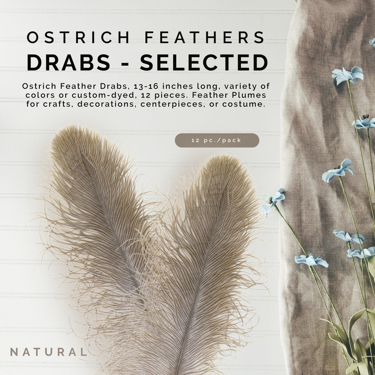 Ostrich Feathers 13-16" Drabs - Natural