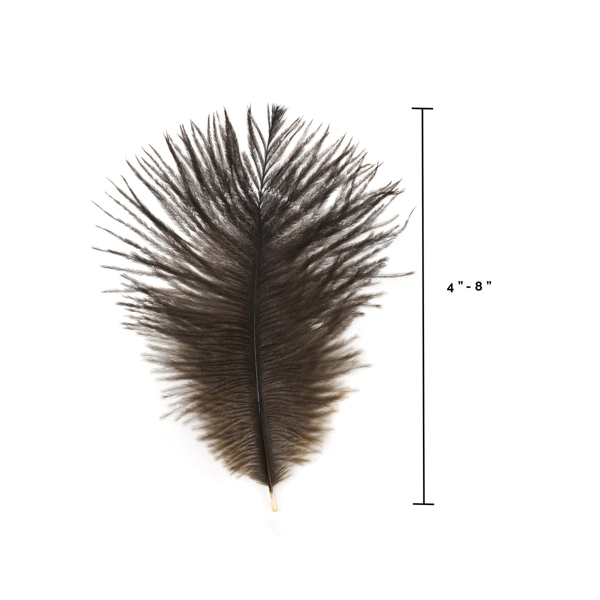 Ostrich Feathers 4-8" Drabs - Natural