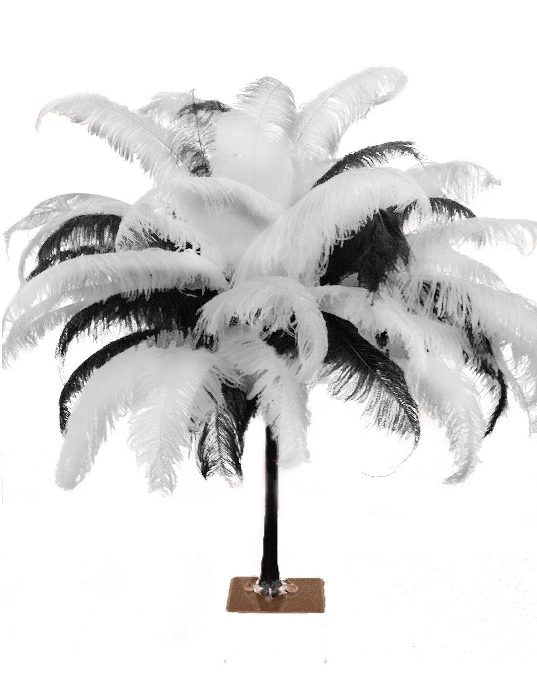 Large Ostrich Feathers - 18-24" Spads - Natural